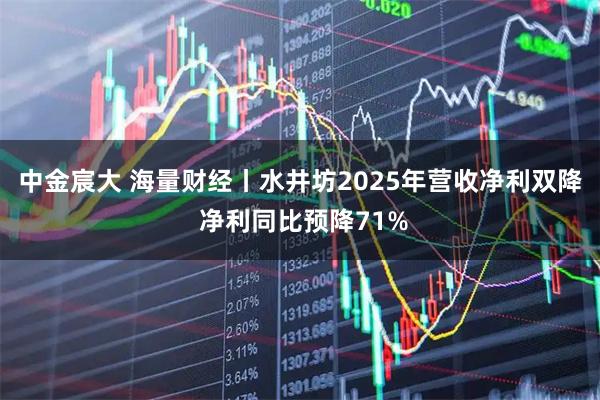中金宸大 海量财经丨水井坊2025年营收净利双降 净利同比预降71%